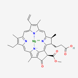 molecular formula C35H34MgN4O5 B1213350 Chlorophyllide a 