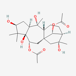 molecular formula C24H38O8 B1213359 Rhodojaponin IV CAS No. 30460-34-5