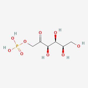 molecular formula C6H13O9P B1213454 D-sorbose 1-phosphate CAS No. 2650-47-7