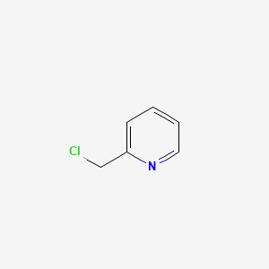 molecular formula C6H6ClN B1213738 2-(Chloromethyl)pyridine CAS No. 4377-33-7