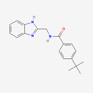 molecular formula C19H21N3O B12138097 N-(1H-benzimidazol-2-ylmethyl)-4-tert-butylbenzamide 