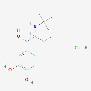 1-(3,4-Dihydroxyphenyl)-2-tert-butyl-1-butanol hydrochloride