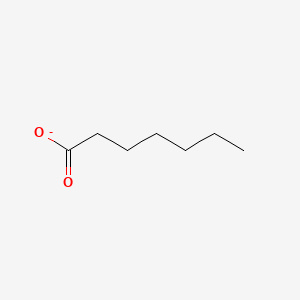 molecular formula C7H13O2- B1214049 Heptanoate CAS No. 7563-37-3