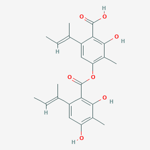 molecular formula C24H26O7 B1214111 Agonodepside B 