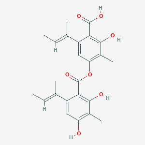 molecular formula C24H26O7 B1214111 阿戈诺肽 B CAS No. 445298-41-9