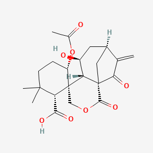 molecular formula C22H28O8 B1214166 Isodonoic acid CAS No. 84294-78-0