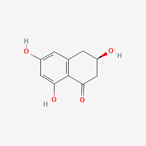 molecular formula C10H10O4 B1214254 (R)-3,6,8-Trihydroxy-3,4-dihydronaphthalen-1(2H)-one CAS No. 49598-85-8