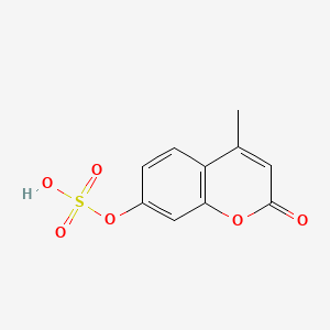 4-Methylumbelliferone sulfate