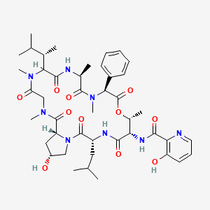 molecular formula C44H62N8O11 B1214371 Neoviridogrisein IV 