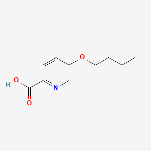 B1214522 5-Butoxypicolinic acid CAS No. 62724-83-8