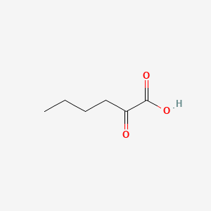 molecular formula C6H10O3 B1214536 2-Oxohexanoic acid CAS No. 2492-75-3