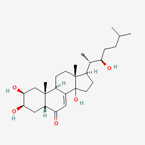 molecular formula C27H44O5 B1214538 (2S,3R,5R,9R,10R,13R,17R)-2,3,14-trihydroxy-17-[(2S,3R)-3-hydroxy-6-methylheptan-2-yl]-10,13-dimethyl-2,3,4,5,9,11,12,15,16,17-decahydro-1H-cyclopenta[a]phenanthren-6-one CAS No. 22005-50-1