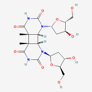 Cyclobutyldithymidine dimers