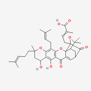 molecular formula C38H46O9 B1214844 4-[10,12-Dihydroxy-8,21,21-trimethyl-5-(3-methylbut-2-enyl)-8-(4-methylpent-3-enyl)-14,18-dioxo-3,7,20-trioxahexacyclo[15.4.1.02,15.02,19.04,13.06,11]docosa-4(13),5,11,15-tetraen-19-yl]-2-methylbut-2-enoic acid 