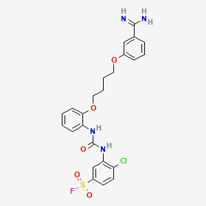 molecular formula C24H24ClFN4O5S B1214912 m-(o-(2-Chloro-5-fluorosulfonylphenylureido)phenoxybutoxy)benzamidine CAS No. 32919-84-9