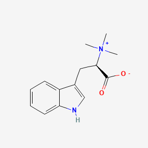 molecular formula C14H18N2O2 B1215277 (2R)-3-(1H-indol-3-yl)-2-(trimethylazaniumyl)propanoate 