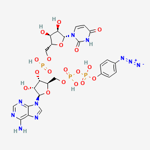 molecular formula C25H29N10O18P3 B1215432 [(2R,3S,4R,5R)-5-(6-aminopurin-9-yl)-2-[[[(4-azidophenoxy)-hydroxyphosphoryl]oxy-hydroxyphosphoryl]oxymethyl]-4-hydroxyoxolan-3-yl] [(2R,3S,4R,5R)-5-(2,4-dioxopyrimidin-1-yl)-3,4-dihydroxyoxolan-2-yl]methyl hydrogen phosphate CAS No. 76444-18-3