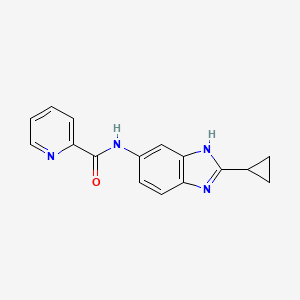 molecular formula C16H14N4O B12157100 N-(2-cyclopropyl-1H-benzimidazol-5-yl)pyridine-2-carboxamide 