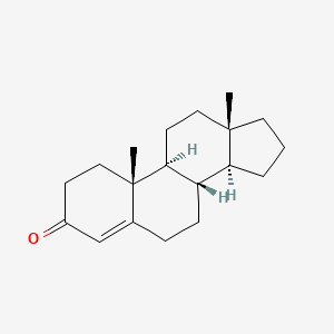 molecular formula C19H28O B1215763 Androst-4-en-3-one CAS No. 2872-90-4
