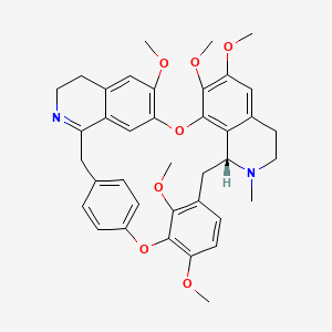 molecular formula C38H40N2O7 B1215889 Calafatimine CAS No. 77793-42-1