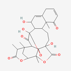 molecular formula C28H32O10 B1215985 Physalin O CAS No. 120849-18-5