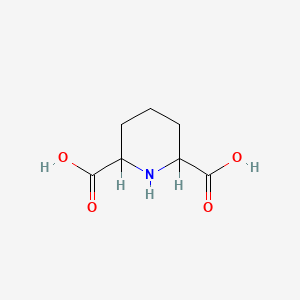 Piperidine-2,6-dicarboxylic acid