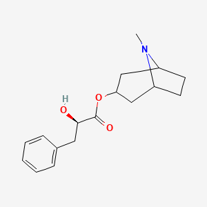 molecular formula C17H23NO3 B1216117 (8-methyl-8-azabicyclo[3.2.1]octan-3-yl) (2R)-2-hydroxy-3-phenylpropanoate 
