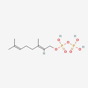 molecular formula C10H20O7P2 B1216152 Geranyl Diphosphate CAS No. 763-10-0