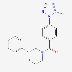 molecular formula C19H19N5O2 B12161542 [4-(5-methyl-1H-tetrazol-1-yl)phenyl](2-phenylmorpholin-4-yl)methanone 