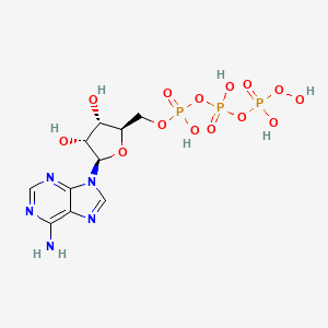 Adenylyl 5'-peroxydiphosphate