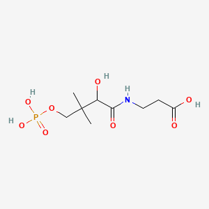 molecular formula C9H18NO8P B1216635 3-[(2-Hydroxy-3,3-dimethyl-4-phosphonooxybutanoyl)amino]propanoic acid 