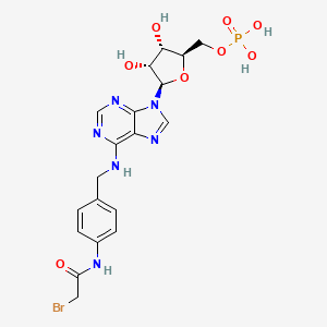 B1216715 [(2R,3S,4R,5R)-5-[6-[[4-[(2-bromoacetyl)amino]phenyl]methylamino]purin-9-yl]-3,4-dihydroxyoxolan-2-yl]methyl dihydrogen phosphate CAS No. 63074-11-3