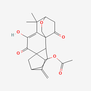 molecular formula C22H26O6 B1216906 (10-Hydroxy-12,12-dimethyl-6-methylidene-9,16-dioxo-14-oxapentacyclo[11.2.2.15,8.01,11.02,8]octadec-10-en-7-yl) acetate 