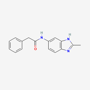 molecular formula C16H15N3O B12169060 N-(2-methyl-1H-benzimidazol-6-yl)-2-phenylacetamide 