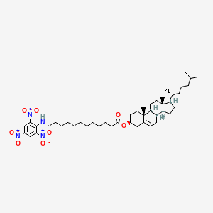 molecular formula C45H70N4O8 B1216969 Tnpal cholesterol CAS No. 96337-56-3