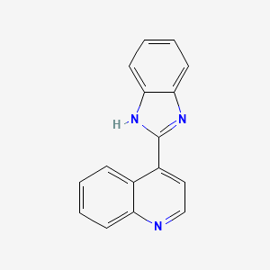 molecular formula C16H11N3 B1217002 4-(1H-benzimidazol-2-yl)quinoline CAS No. 31704-11-7