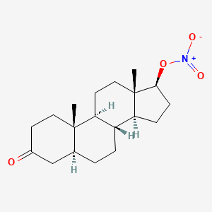 molecular formula C19H29NO4 B1217011 Nitrostanolone CAS No. 21957-21-1