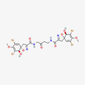 molecular formula C24H24Br4N4O9 B1217082 CID 73116 CAS No. 73622-23-8