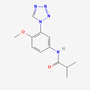 molecular formula C12H15N5O2 B12171147 N-[4-methoxy-3-(1H-tetrazol-1-yl)phenyl]-2-methylpropanamide 
