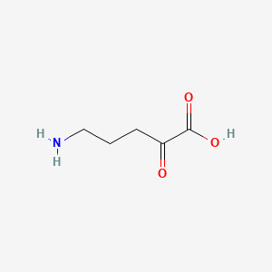 molecular formula C5H9NO3 B1217182 5-Amino-2-oxopentanoic acid 