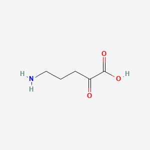 5-Amino-2-oxopentanoic acid