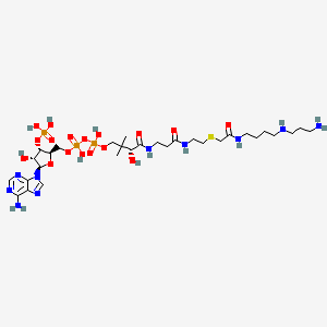 molecular formula C30H55N10O17P3S B1217232 N-Coa-asp CAS No. 83889-68-3