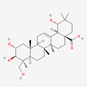 molecular formula C30H48O6 B1217281 Sericic Acid CAS No. 55306-03-1