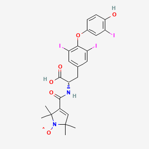 molecular formula C24H24I3N2O6 B1217293 3-((alpha-Carboxy-4-(4-hydroxy-3-iodophenoxy)-3,5-diiodophenethyl)carbamoyl)-2,2,5,5-tetramethyl-3-pyrrolin-1-yloxy CAS No. 91401-23-9