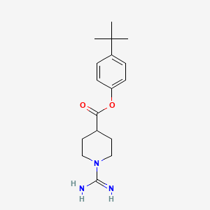 molecular formula C17H25N3O2 B1217302 (4-tert-butylphenyl) 1-carbamimidoylpiperidine-4-carboxylate CAS No. 91283-32-8