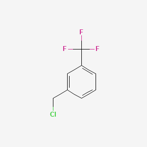 molecular formula C8H6ClF3 B1217364 1-(Chloromethyl)-3-(trifluoromethyl)benzene CAS No. 705-29-3