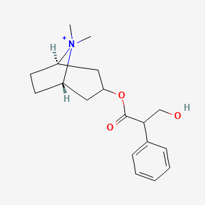molecular formula C18H26NO3+ B1217387 Methylatropinium CAS No. 31610-87-4