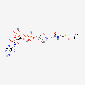 molecular formula C28H46N7O17P3S B1217454 3-Isopropylbut-3-enoyl-CoA 