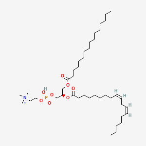 molecular formula C42H81NO8P+ B1217459 LECITHIN 