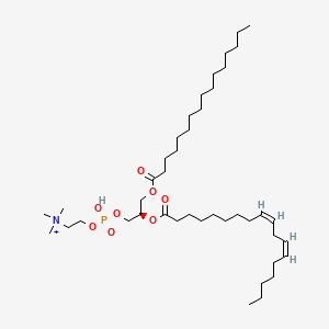 molecular formula C42H81NO8P+ B1217459 1-Palmitoyl-2-linoleoyl-glycero-3-phosphocholine 